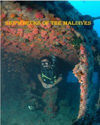 Shipwrecks of the Maldives